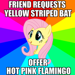Size: 500x500 | Tagged: safe, fluttershy, g4, may the best pet win, advice meme, image macro, meme