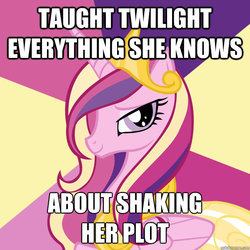 Size: 600x600 | Tagged: safe, princess cadance, twilight sparkle, g4, advice meme, image macro, meme