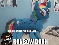 Size: 600x459 | Tagged: safe, artist:plushbuddies, rainbow dash, g4, dj scully, fsjal, irl, killing floor, photo, plushie, ronbow dosh, wat