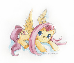 Size: 1867x1581 | Tagged: safe, artist:tirass, fluttershy, g4, cute, shyabetes, traditional art