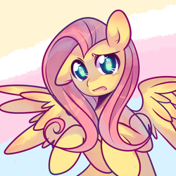 Size: 800x800 | Tagged: safe, artist:pekou, fluttershy, pony, g4, female, solo