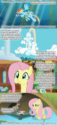 Size: 750x1629 | Tagged: safe, fluttershy, rainbow dash, ferret, fish, g4, grass, headcanon, holding breath, in water, looking at something, looking at you, puffy cheeks, water