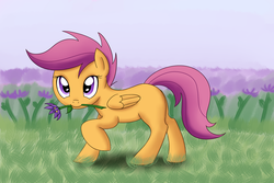 Size: 2100x1400 | Tagged: safe, artist:mochasketch, scootaloo, pegasus, pony, g4, blank flank, cute, cutealoo, female, filly, flower, flower field, flower in mouth, foal, folded wings, looking at you, mouth hold, raised hoof, side view, solo, wings