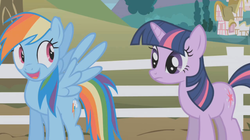 Size: 639x359 | Tagged: safe, screencap, rainbow dash, twilight sparkle, g4, awesome face, wingboner