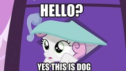 Size: 614x344 | Tagged: safe, edit, edited screencap, screencap, sweetie belle, pony, unicorn, g4, hearts and hooves day (episode), my little pony: friendship is magic, season 2, carousel boutique, catflap, female, filly, foal, frown, horn, impact font, meme, pet door, silly filly, solo, text, yes this is dog