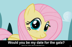 Size: 1024x672 | Tagged: safe, fluttershy, pegasus, pony, g4, bronybait, caption, cs captions, female, gala invitation, grand galloping gala, looking at you, mare, solo