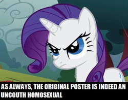 Size: 514x405 | Tagged: safe, rarity, pony, unicorn, g4, and then there's rarity, classy, female, image macro, mare, op is a faggot, rarity is not amused, solo, unamused, uncouth