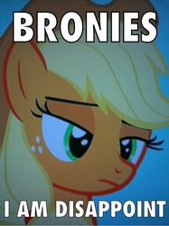 Size: 383x512 | Tagged: safe, edit, edited screencap, screencap, applejack, earth pony, pony, call of the cutie, g4, female, image macro, meme, solo, son i am disappoint