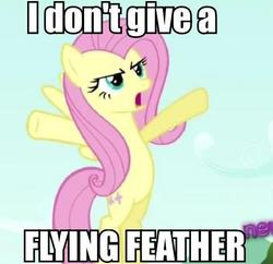 Size: 480x465 | Tagged: safe, fluttershy, g4, flying feather, idgaf, image macro