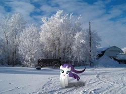 Size: 604x453 | Tagged: safe, artist:1vonreich123, rarity, pony, g4, irl, photo, ponies in real life, snow, snow tracks, solo, vector