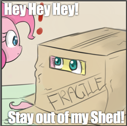 Size: 409x406 | Tagged: safe, artist:speccysy, fluttershy, pinkie pie, .mov, shed.mov, g4, box, cardboard box, cute, exclamation point, eye contact, fat albert and the cosby kids, flutterbox, hey hey hey, konami, metal gear, pony.mov, reference, stay out of my shed, wide eyes