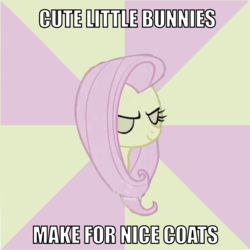 Size: 1972x1972 | Tagged: safe, fluttershy, g4, discorded, flutterbitch, image macro