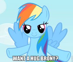 Size: 598x515 | Tagged: safe, rainbow dash, pegasus, pony, g4, bronybait, cloud, female, flying, hug, hug request, ponibooru, roflbot, sky, smiling, solo