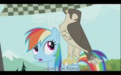 Size: 640x400 | Tagged: safe, screencap, rainbow dash, g4, may the best pet win, my little pony: friendship is magic, youtube caption