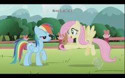 Size: 640x400 | Tagged: safe, screencap, fluttershy, rainbow dash, g4, may the best pet win, my little pony: friendship is magic, youtube caption