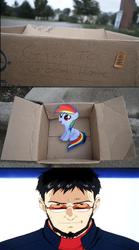 Size: 502x900 | Tagged: safe, rainbow dash, pegasus, pony, fanfic:my little dashie, g4, dashie meme, evil people finding dash meme, exploitable meme, gendo ikari, glasses, meme, neon genesis evangelion