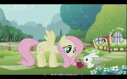 Size: 640x400 | Tagged: safe, screencap, angel bunny, fluttershy, g4, youtube caption