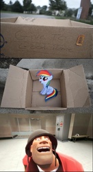 Size: 832x1529 | Tagged: safe, rainbow dash, pegasus, pony, fanfic:my little dashie, g4, dashie meme, evil people finding dash meme, exploitable meme, gmod monster, meme, painis cupcake, rubberfruit, soldier, soldier (tf2), team fortress 2