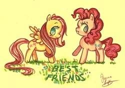 Size: 1196x843 | Tagged: safe, artist:rue789, fluttershy, pinkie pie, g4