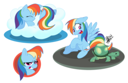 Size: 1280x828 | Tagged: safe, artist:secoh2000, rainbow dash, tank, pegasus, pony, g4, cloud, duo, female, mare, pet, simple background, sleeping, transparent background