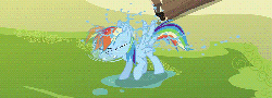 Size: 781x283 | Tagged: safe, screencap, rainbow dash, pegasus, pony, g4, the mysterious mare do well, animated, behaving like a dog, female, loop, mare, shaking, solo, water, wet, wet-dog shake