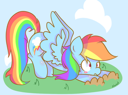 Size: 790x586 | Tagged: safe, artist:alachu, rainbow dash, pony, g4, female, solo