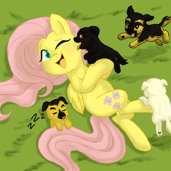 Size: 945x945 | Tagged: safe, artist:cartoonlion, artist:megasweet, fluttershy, dog, g4, cute, puppy, tickling