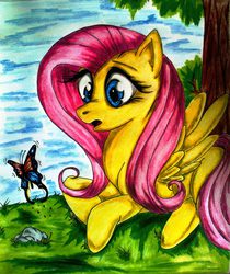 Size: 1385x1646 | Tagged: safe, artist:tomek2289, fluttershy, butterfly, g4, traditional art