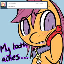 Size: 500x500 | Tagged: safe, artist:serendipity-kitty, scootaloo, pony, g4, blushing, collar, lesboloo, solo, tumblr