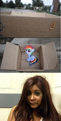 Size: 336x669 | Tagged: safe, rainbow dash, pegasus, pony, fanfic:my little dashie, g4, dashie meme, exploitable meme, meme