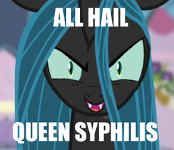 Size: 980x843 | Tagged: safe, queen chrysalis, changeling, changeling queen, g4, female, image macro, sexually transmitted disease, syphilis