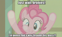 Size: 1199x718 | Tagged: safe, edit, edited screencap, screencap, pinkie pie, earth pony, pony, g4, against glass, female, fourth wall, image macro, ponibooru, solo