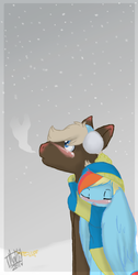 Size: 422x840 | Tagged: safe, artist:flow3r-child, dumbbell, rainbow dash, pegasus, pony, g4, clothes, dumbdash, earmuffs, female, male, scarf, shipping, snow, straight