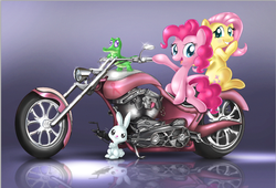 Size: 961x652 | Tagged: safe, artist:nubiankitten, angel bunny, fluttershy, gummy, pinkie pie, g4, motorcycle