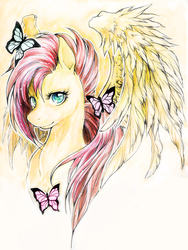 Size: 600x797 | Tagged: dead source, safe, artist:whitespiritwolf, fluttershy, butterfly, pegasus, pony, g4, bust, female, solo, traditional art