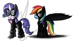 Size: 600x340 | Tagged: safe, artist:malizlewa, rainbow dash, rarity, pegasus, pony, unicorn, g4, batman, batmare, catmare, catwoman, crossover, duo, female, mare, parody, the dark knight rises