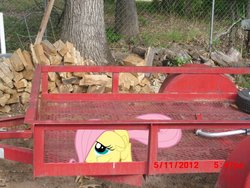 Size: 900x675 | Tagged: safe, artist:tokkazutara1164, fluttershy, pony, g4, crying, filly, irl, photo, ponies in real life, scared, vector