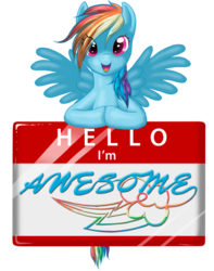 Size: 900x1140 | Tagged: safe, artist:jewelscore, rainbow dash, pony, g4, awesome, female, joke, solo