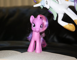 Size: 900x703 | Tagged: safe, princess celestia, twilight sparkle, pony, princess molestia, g4, customized toy, irl, photo, toy