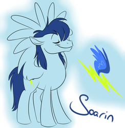 Size: 974x1000 | Tagged: safe, artist:calicopikachu, soarin', pegasus, pony, g4, alternate hairstyle, cutie mark, eyes closed, male, solo, stallion