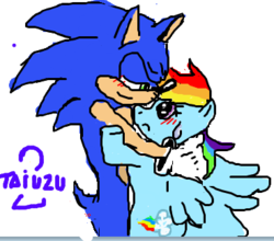 Size: 369x325 | Tagged: dead source, safe, artist:taiuzu2, rainbow dash, pegasus, pony, g4, blushing, crossover, crossover shipping, female, interspecies, male, shipping, simple background, sonic the hedgehog, sonic the hedgehog (series), sonicdash, straight, transparent background