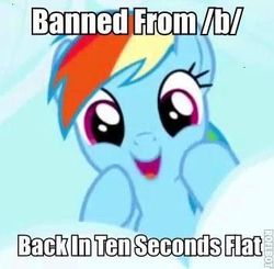 Size: 356x349 | Tagged: safe, rainbow dash, g4, 4chan, cute, dashabetes, meta