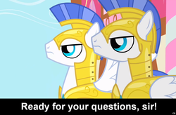 Size: 1024x672 | Tagged: safe, edit, edited screencap, screencap, pegasus, pony, comic:celestia's servant interview, g4, armor, caption, interview, royal guard