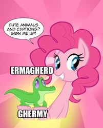 Size: 803x1000 | Tagged: safe, artist:tarajenkins, gummy, pinkie pie, g4, image macro, meme