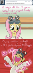 Size: 640x1380 | Tagged: safe, artist:giantmosquito, fluttershy, ask-dr-adorable, g4, ask, dr adorable, parody, tumblr