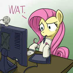 Size: 640x640 | Tagged: safe, artist:giantmosquito, fluttershy, g4, computer, dr adorable, reaction image, wat, webcam