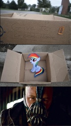 Size: 832x1470 | Tagged: safe, rainbow dash, pegasus, pony, fanfic:my little dashie, g4, bane, dashie meme, evil people finding dash meme, exploitable meme, meme, photo, the dark knight rises