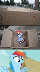 Size: 832x1470 | Tagged: safe, rainbow dash, pegasus, pony, fanfic:my little dashie, g4, crossing the memes, dashie meme, exploitable meme, good people finding dash meme, meme, memeception, self adoption, self ponidox, shocked, time paradox, what a twist