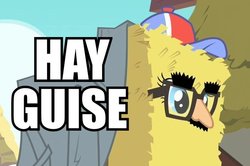 Size: 600x399 | Tagged: safe, edit, edited screencap, screencap, pinkie pie, g4, party of one, caption, disguise, glasses, groucho mask, hay, hay bale, hay guise, image macro, mask, pun