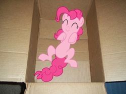 Size: 1200x900 | Tagged: safe, pinkie pie, earth pony, pony, g4, ^^, box, eyes closed, female, irl, lying down, mare, on back, photo, ponies in real life, pony in a box, solo, vector